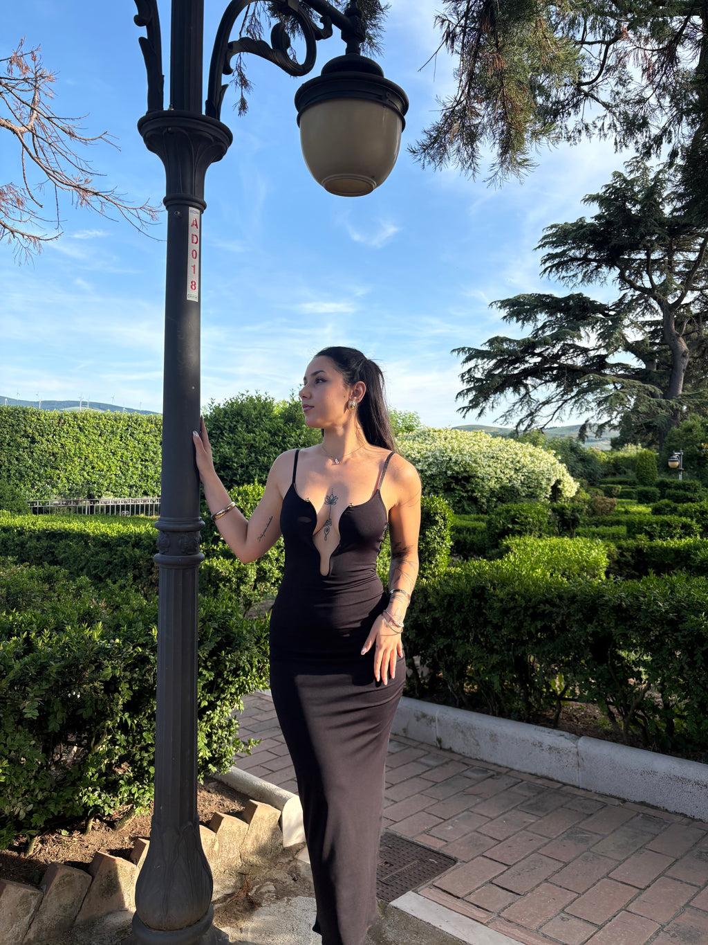 •Silhouette Dress•
